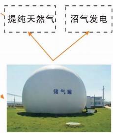 印度CN2服务器租用?印度CN2服务器租用,在香港、美国拥有自己的自建机房