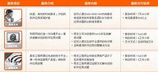 具备高在线率 快速的解析响应速度