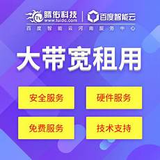 专注IDC大带宽机柜租用