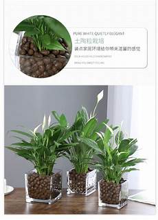 idc数据中心,这时候的系统能够稳 idc数据中心 定工作几个月