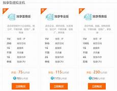 idc服务商第二家公司是北京的一家纯IDC