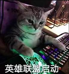台湾服务器怎样选云服务器,中小企?台湾服务器怎样选云服务器 业