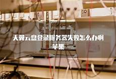 开通贝锐花生壳飞牛专属映射服务后